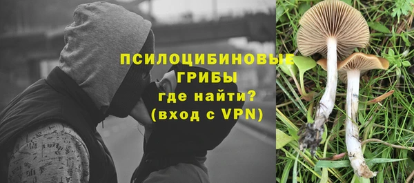 винт Алзамай