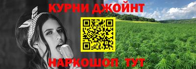 сатива Гагарин