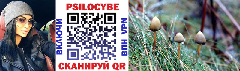 Псилоцибиновые грибы Psilocybine cubensis  Бийск 