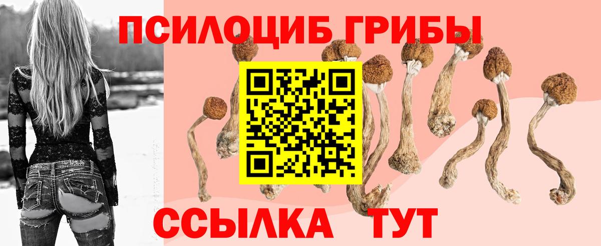 Галлюциногенные грибы мицелий Бийск