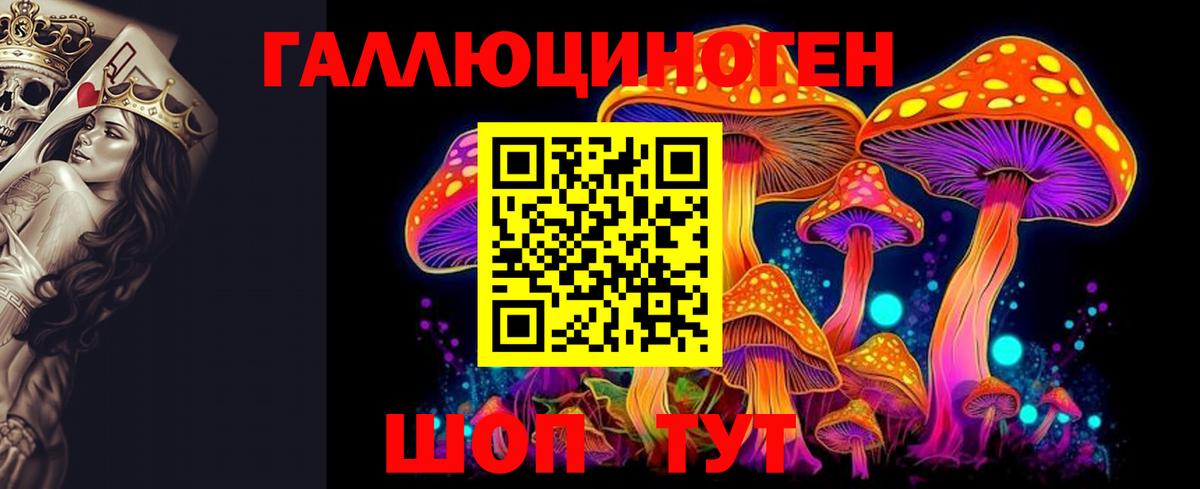 хочу наркоту  Псилоцибиновые грибы GOLDEN TEACHER  Псилоцибиновые грибы Psilocybe  Вход с VPN  Бийск 